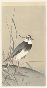 Kievit en riet door Ohara Koson