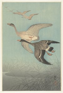 Kolganzen in de vlucht door Ohara Koson