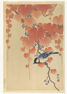Koolmees op paulownia tak door Ohara Koson