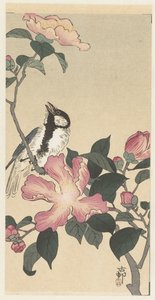 Koolmees op tak met roze bloemen door Ohara Koson