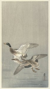 Koppel eenden door Ohara Koson