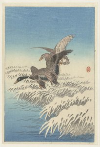 Koppel eenden vliegend boven besneeuwde rietkraag door Ohara Koson