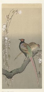 Koppel fazanten en kersenbloesem door Ohara Koson