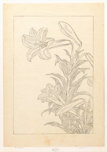 Lelies door Ohara Koson