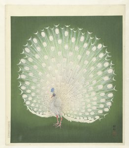 Pauw door Ohara Koson