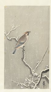 Pestvogel op besneeuwde tak door Ohara Koson