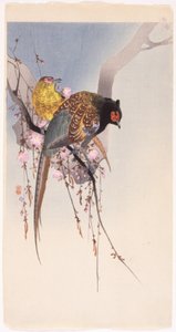 Fazanten en Hangende Kers door Ohara Koson
