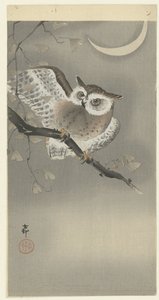 Ransuil in ginkgo door Ohara Koson
