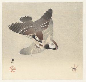 Ringmussen en insect door Ohara Koson