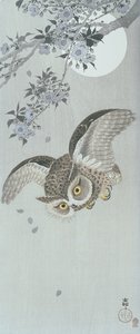 Scoopuil in vlucht met bloesem en volle maan (kleur houtsnede) door Ohara Koson