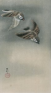 Mussen in vlucht