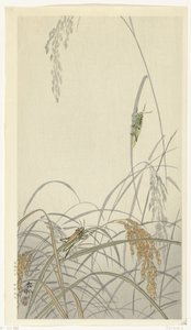Sprinkhanen op rijstplanten door Ohara Koson