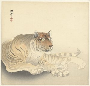 Tijger