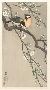 Mezen op kersen tak door Ohara Koson