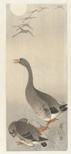 Twee ganzen door Ohara Koson