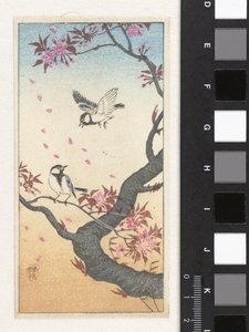 Twee koolmezen bij bloesemende boom door Ohara Koson