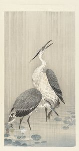 Twee reigers in de regen door Ohara Koson