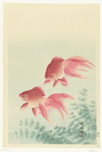Twee sluierstaart goudvissen door Ohara Koson