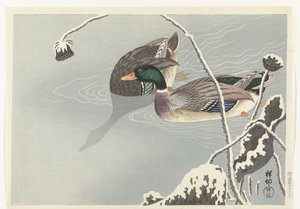 Twee wilde eenden bij een met sneeuw bedekte lotus door Ohara Koson