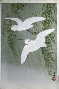 Twee reigers vrij vliegend, 1907