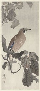Vlaamse gaai op boomtak door Ohara Koson