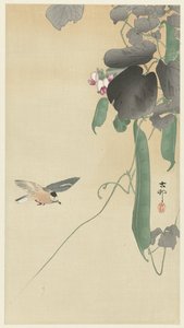 Vogel bij bloeiende bonenplant door Ohara Koson