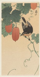 Vogel en kaki door Ohara Koson