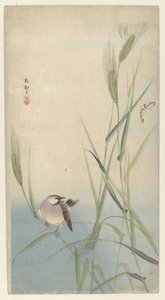 Vogel en vlinder door Ohara Koson
