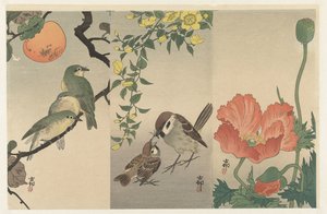 Vogels en planten door Ohara Koson