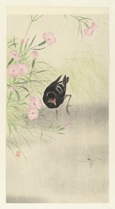 Waterhoen bij bloeiende plant door Ohara Koson