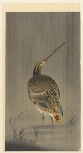 Watersnip in de regen door Ohara Koson