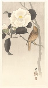 Zangvogel en bloeiende camellia door Ohara Koson