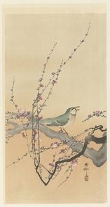 Zangvogel en pruimenbloesem door Ohara Koson