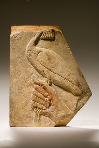 Reliëffragment van een Akh-vogel (kalksteen)