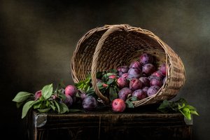  door Olga Aleksandrovna