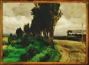 Spoor in het landschap - Spoor in een landschap ... door Olga Wisinger Florian