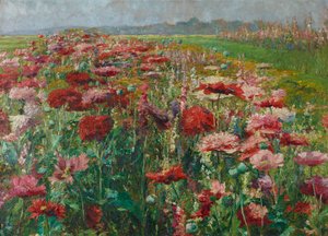 Bloeiende papaver door Olga Wisinger Florian