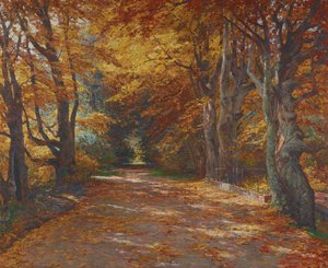 Praterallee in de herfst door Olga Wisinger Florian
