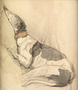 Slapende Windhond door Olive Branson