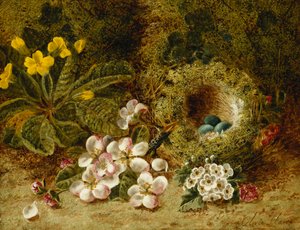 Appelbloesems, een sleutelbloem en een vogelnest op een mosrijke oever