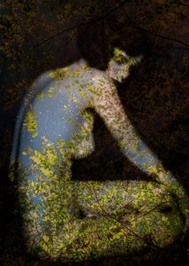  door Olivia Gozzano