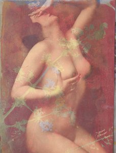  door Olivia Gozzano