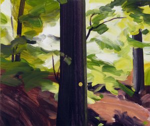 Forêt 19
