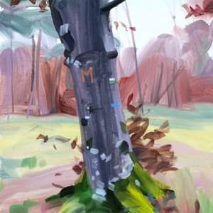Forêt 38