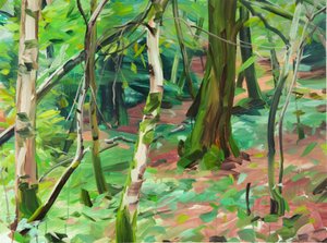 Forêt 6