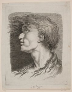 Mannenportret met wapperend haar