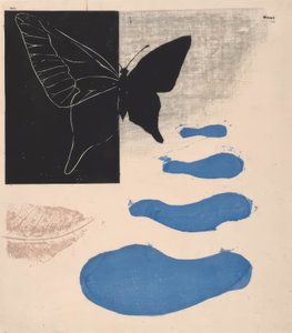 Gedicht nr. 8: Het seizoen van de vlinders