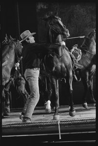 Gregory Peck met paard op de set van 