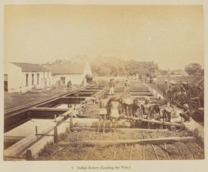 Indigo fabriek (laden van de vaten)