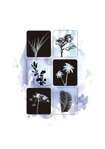Botanische silhouetten in aquarel door Osvaldo Russo